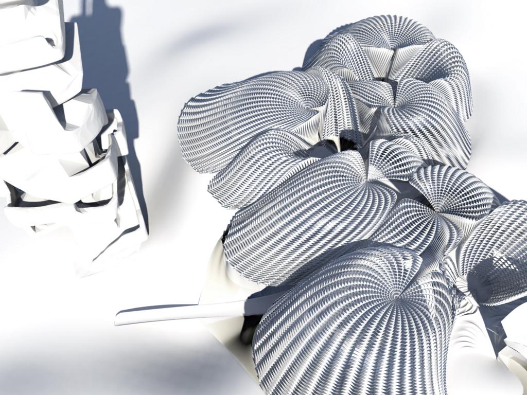 biothing_roof_0021.jpg